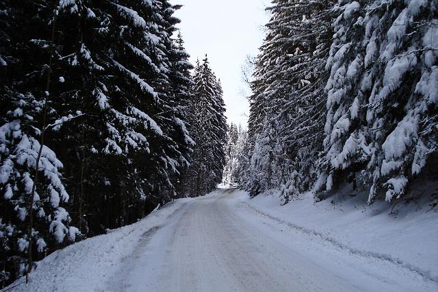 08 Zum Eibeggsattel.JPG